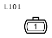 G11134496