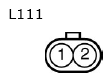 G11134504