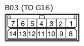 G11134546