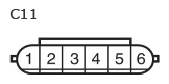 G11134556