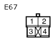 G11134653