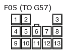 G11134681