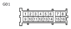 G11134684