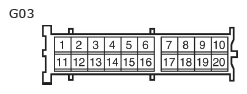 G11134686