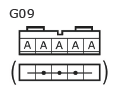 G11134692