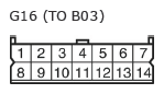 G11134698