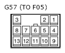 G11134731