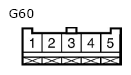 G11134734