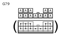 G11134748
