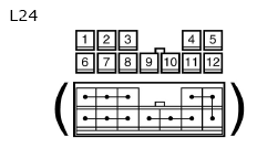 G11134811