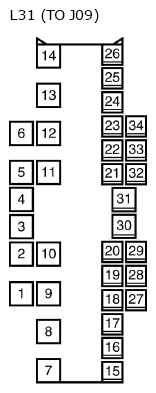 G11134817