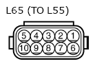 G11134842