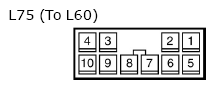 G11134848