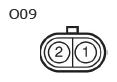 G11134860