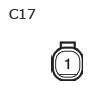 G11134884
