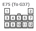 G11134981