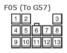 G11135005