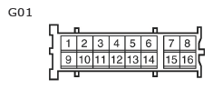 G11135008