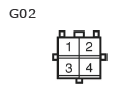 G11135009