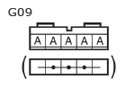 G11135016
