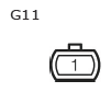 G11135017