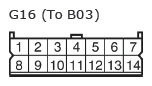 G11135021