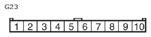 G11135028
