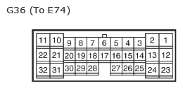 G11135038