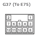 G11135039