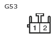 G11135054