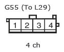 G11135056