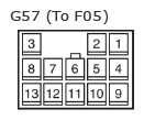 G11135058