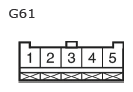 G11135061