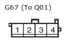 G11135064