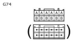 G11135068