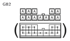 G11135075