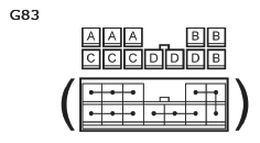 G11135076