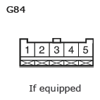 G11135077