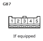 G11135078