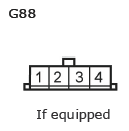 G11135079