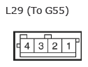G11135151