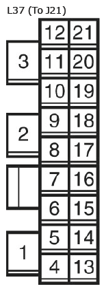 G11135160