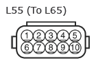 G11135175