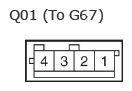 G11135202