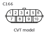 G11135240