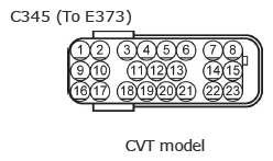 G11135252
