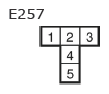 G11135295