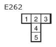 G11135298