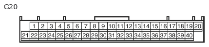 G11135329