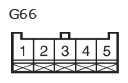 G11135339